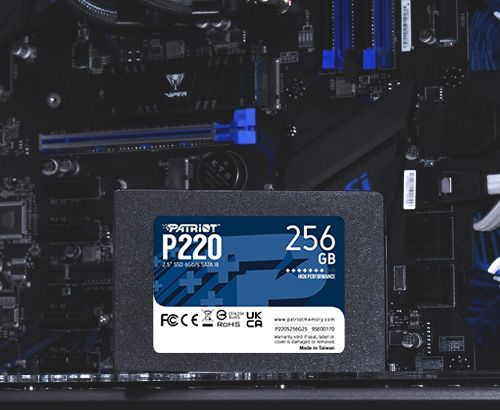 Накопитель SSD Patriot SATA-III 256GB P220S256G25 P220 2.5"