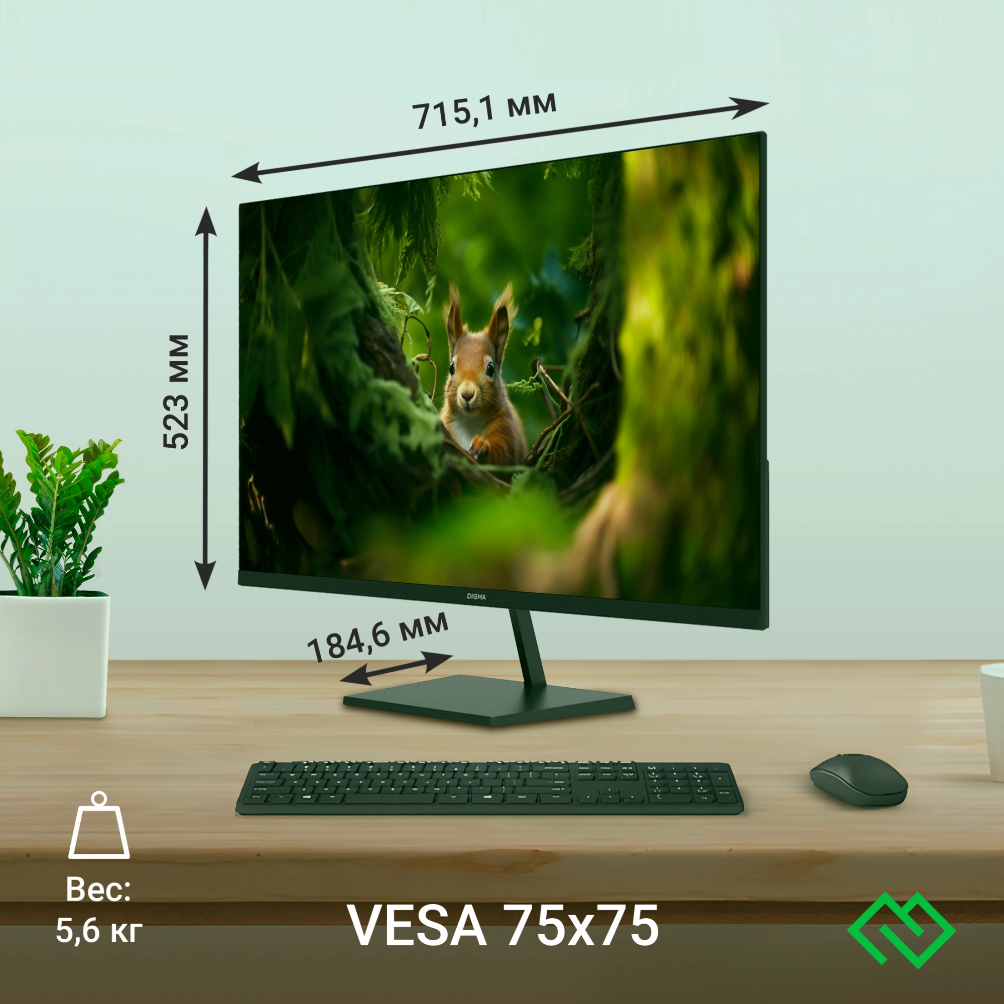 Монитор Digma 31.5" Progress 32P501F черный IPS LED 1ms 16:9 HDMI глянцевая 300cd 178гр/178гр 1920x1080 75Hz G-Sync FreeSync VGA FHD 7.2кг