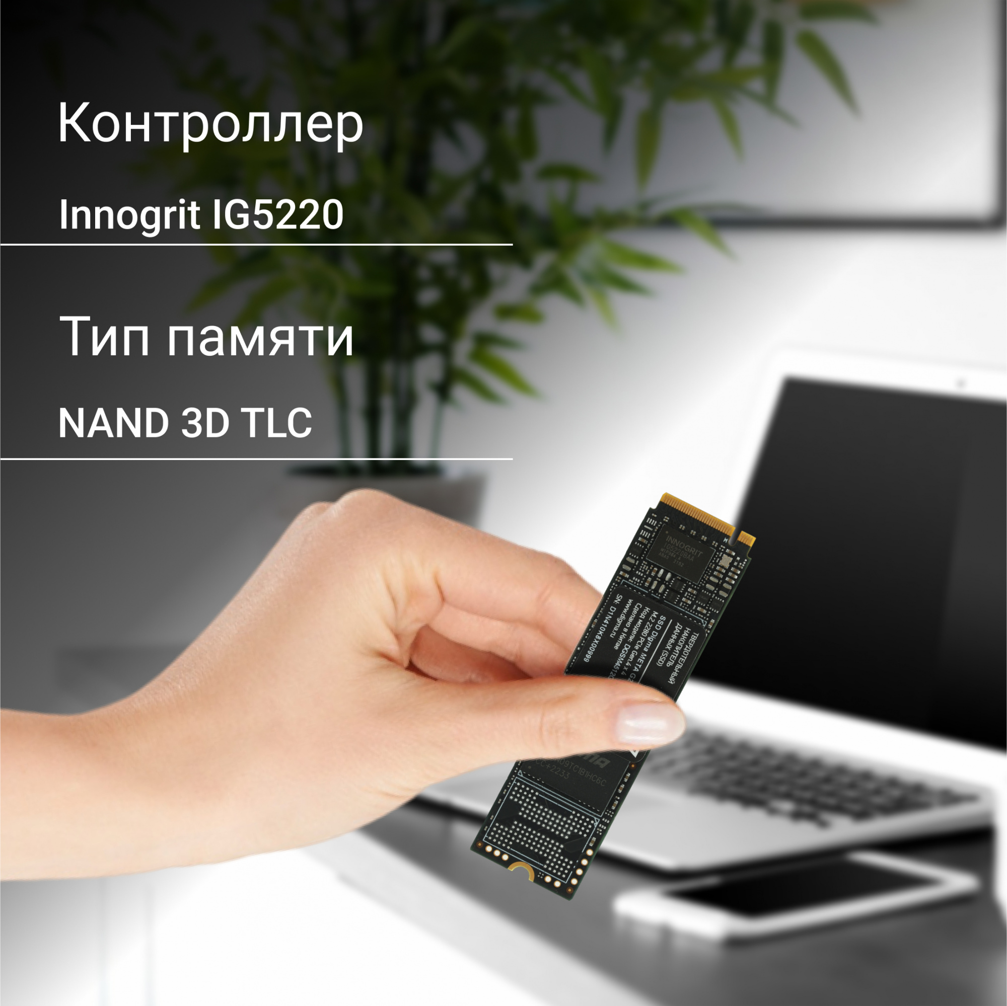 Накопитель SSD Digma PCIe 4.0 x4 512GB DGSM4512GG23T Meta G2 M.2 2280