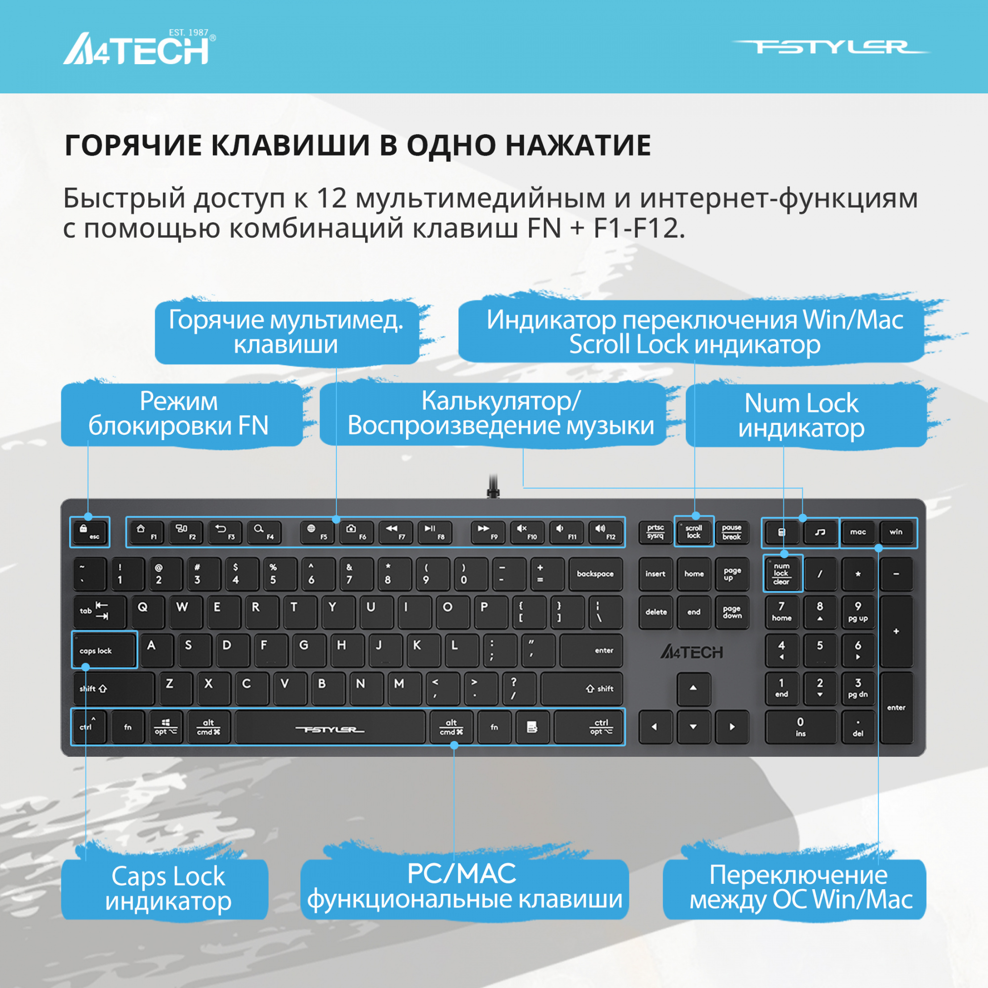 Клавиатура A4Tech Fstyler FX50 серый USB slim Multimedia (FX50 GREY)