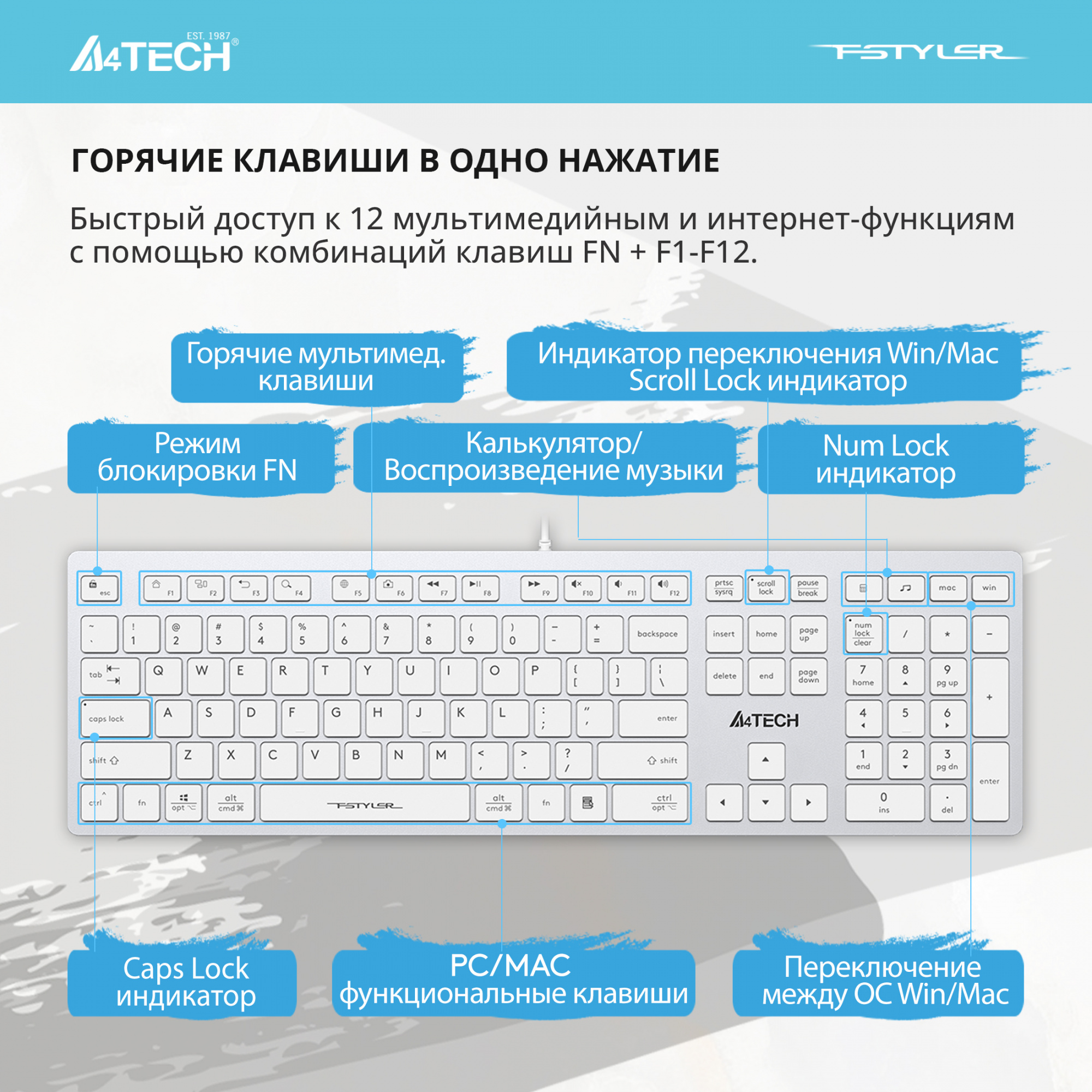 Клавиатура A4Tech Fstyler FX50 белый USB slim Multimedia (FX50 WHITE)