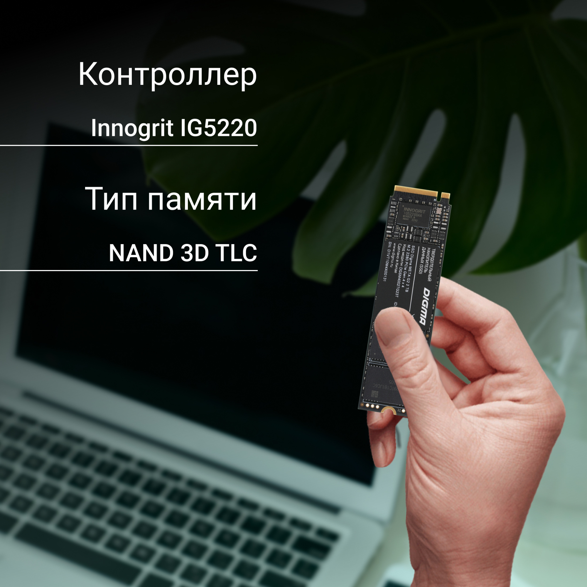 Накопитель SSD Digma PCIe 4.0 x4 2TB DGSM4002TG23T Meta G2 M.2 2280