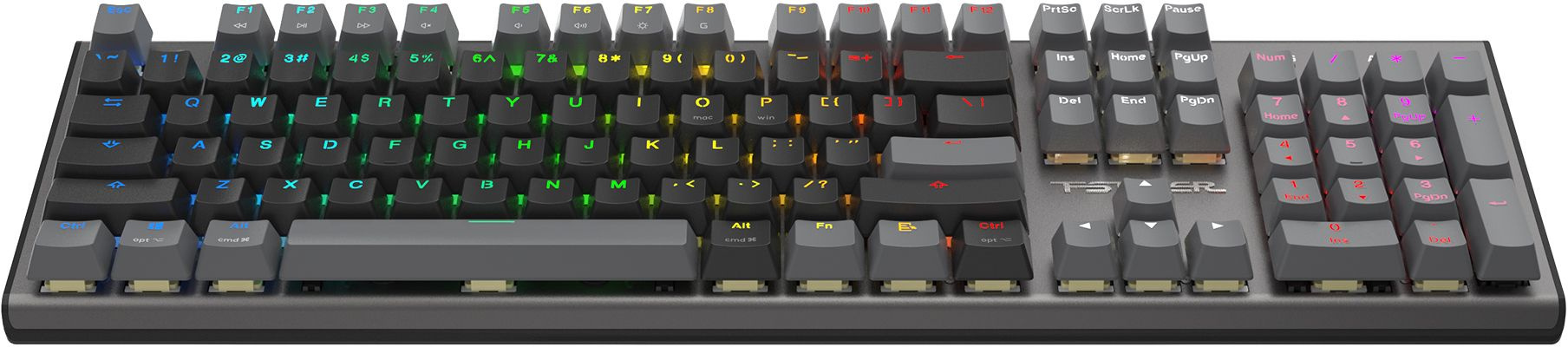 Клавиатура A4Tech Fstyler FS100 Neon механическая черный USB for gamer LED (FS100)