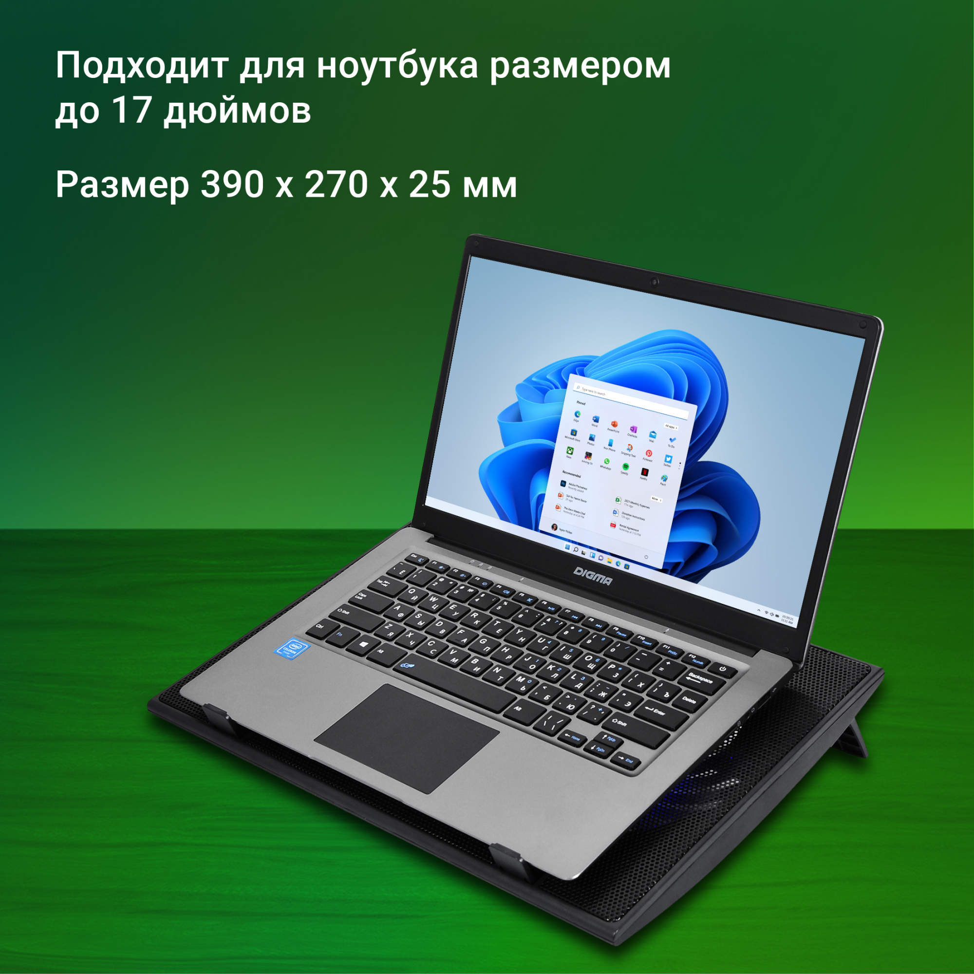 Подставка для ноутбука Digma D-NCP170-2H 17"390x270x25мм 2xUSB 2x 160ммFAN 700г черный